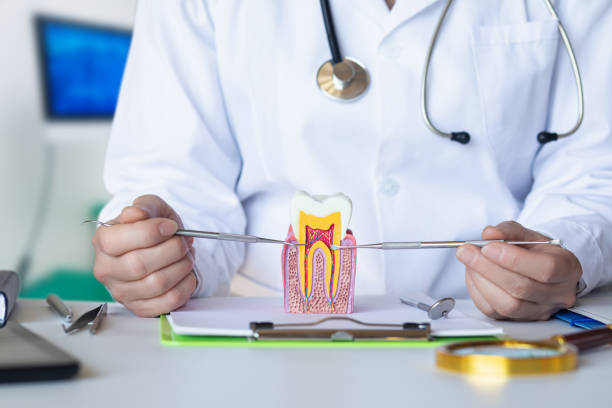 Best Emergency Dentist for Lost Fillings or Crowns in Dalworthington Gardens, TX
